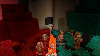 Screenshot of the Minecraft Bedrock Marketplace product Skyblock Nether Mob Heads created by In Mine.