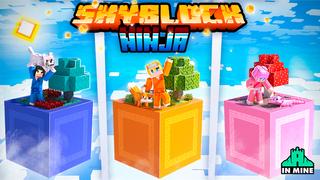 Thumbnail of the Minecraft Bedrock Marketplace product Skyblock Ninja created by In Mine.