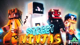 Thumbnail of the Minecraft Bedrock Marketplace product Street Ninjas created by In Mine.