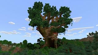 Screenshot of the Minecraft Bedrock Marketplace product Tree Base created by In Mine.
