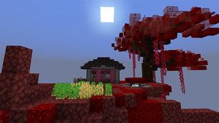 Screenshot of the Minecraft Bedrock Marketplace product Nether Chunk Skyblock created by inPixel.