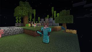 Screenshot of the Minecraft Bedrock Marketplace product One Block Lucky Block created by inPixel.