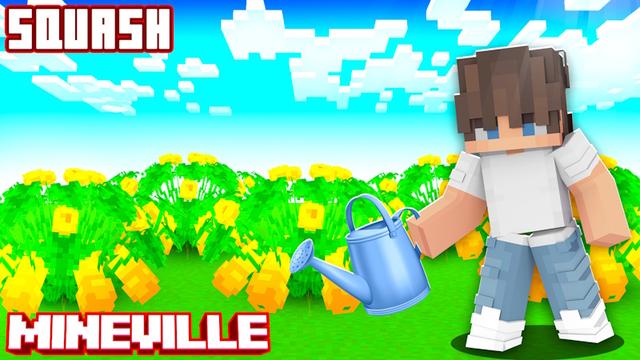 Thumbnail of the Minecraft Bedrock Marketplace product [Farm] Squash Seed created by InPvP.