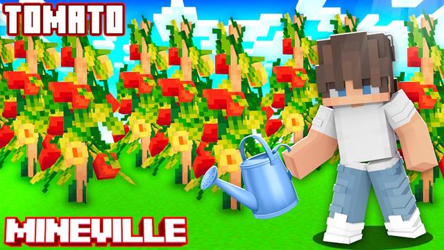 Thumbnail of the Minecraft Bedrock Marketplace product [Farm] Tomato Seed created by InPvP.