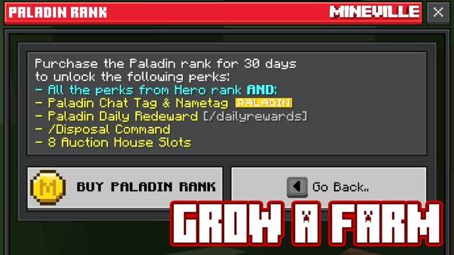 Screenshot of the Minecraft Bedrock Marketplace product Paladin Rank (30d) created by InPvP.