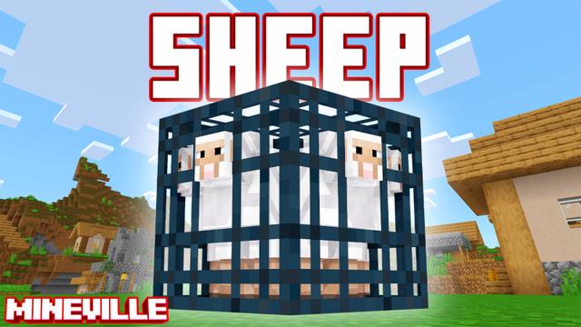 Thumbnail of the Minecraft Bedrock Marketplace product Sheep Spawner created by InPvP.