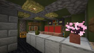 Screenshot of the Minecraft Bedrock Marketplace product Billionaire Sub created by JFCrafters.