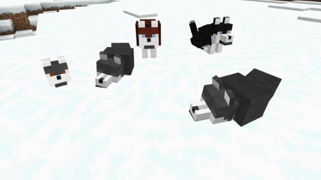 Screenshot of the Minecraft Bedrock Marketplace product Wolves Plus created by JWolf Creations.