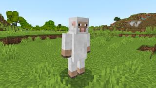 Screenshot of the Minecraft Bedrock Marketplace product Weird created by KA Studios.