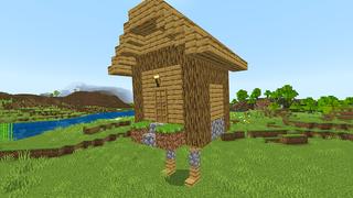 Screenshot of the Minecraft Bedrock Marketplace product Weird created by KA Studios.