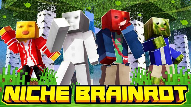 Thumbnail of the Minecraft Bedrock Marketplace product Niche Brainrot created by Kirill Studios.