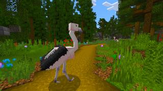 Screenshot of the Minecraft Bedrock Marketplace product Birds: Tropical created by Kreatik Studios.