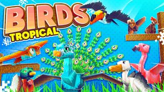 Thumbnail of the Minecraft Bedrock Marketplace product Birds: Tropical created by Kreatik Studios.