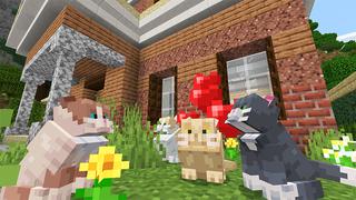 Screenshot of the Minecraft Bedrock Marketplace product GATOS ARTESANOS created by Kreatik Studios.