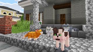 Screenshot of the Minecraft Bedrock Marketplace product GATOS ARTESANOS created by Kreatik Studios.
