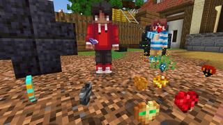 Screenshot of the Minecraft Bedrock Marketplace product CUSTOM HEARTS EVOLVE created by Kreatik Studios.