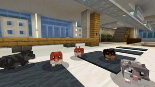 Screenshot of the Minecraft Bedrock Marketplace product HAMSTERS created by Kreatik Studios.