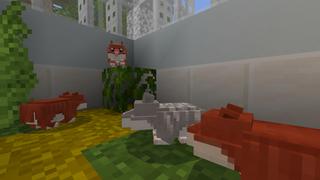 Screenshot of the Minecraft Bedrock Marketplace product HAMSTERS created by Kreatik Studios.