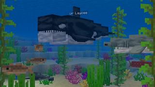 Screenshot of the Minecraft Bedrock Marketplace product Animals Shifter created by Kubo Studios.