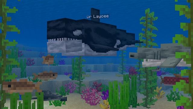 Screenshot of the Minecraft Bedrock Marketplace product Animals Shifter created by Kubo Studios.