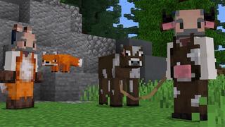 Screenshot of the Minecraft Bedrock Marketplace product Armor Expansion 2 created by Kubo Studios.