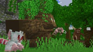 Screenshot of the Minecraft Bedrock Marketplace product Custom Survival created by Kubo Studios.