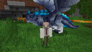 Screenshot of the Minecraft Bedrock Marketplace product Dragon Legends created by Kubo Studios.