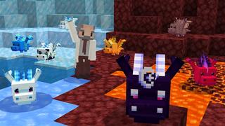 Screenshot of the Minecraft Bedrock Marketplace product Dragon Pets created by Kubo Studios.
