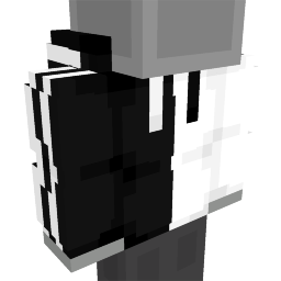 Thumbnail of the Minecraft Bedrock Marketplace product Dual Black White Racer Top created by Kubo Studios.