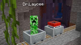 Screenshot of the Minecraft Bedrock Marketplace product MORPH INTO MOBS! created by Kubo Studios.