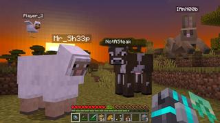 MORPH Add-On by Kubo Studios | CHUNK - Minecraft Bedrock Marketplace ...