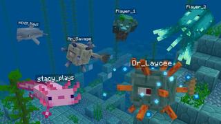 MORPH Add-On by Kubo Studios | CHUNK - Minecraft Bedrock Marketplace ...