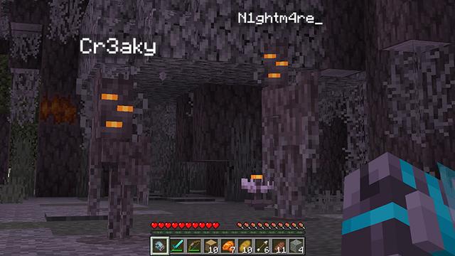 Screenshot of the Minecraft Bedrock Marketplace product MORPH Add-On created by Kubo Studios.