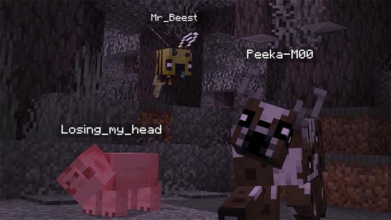 MORPH Add-On by Kubo Studios | CHUNK - Minecraft Bedrock Marketplace ...