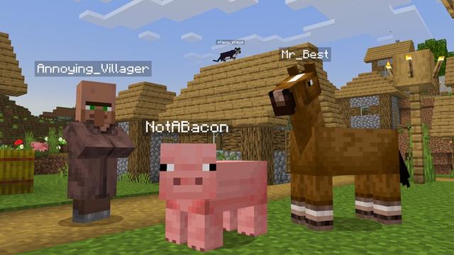 Screenshot of the Minecraft Bedrock Marketplace product MORPH Add-On created by Kubo Studios.