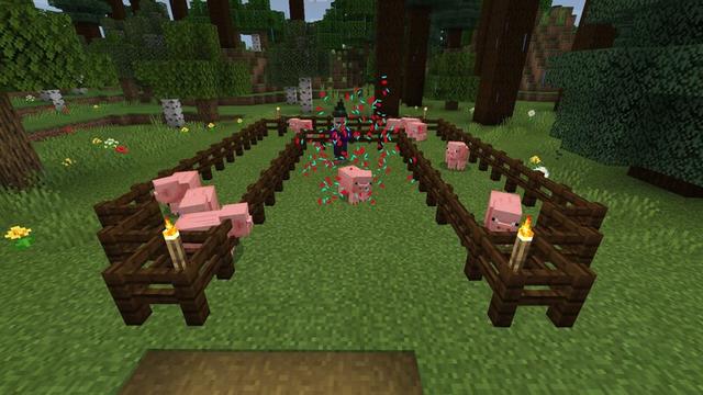 Screenshot of the Minecraft Bedrock Marketplace product Become a Creeper created by Lifeboat.