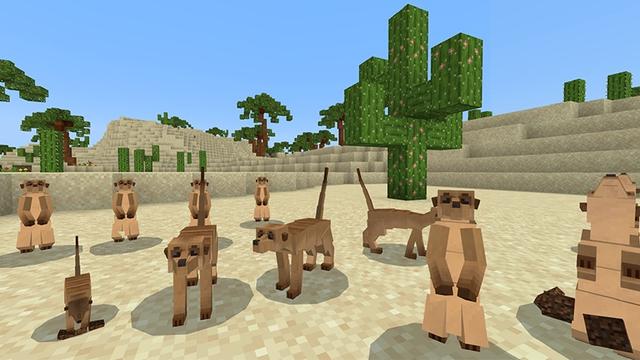 Screenshot of the Minecraft Bedrock Marketplace product Deserts+ created by Lifeboat.