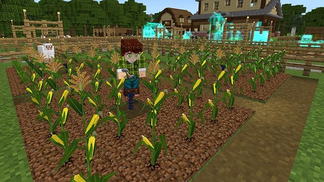 Screenshot of the Minecraft Bedrock Marketplace product Farm Tycoon created by Lifeboat.