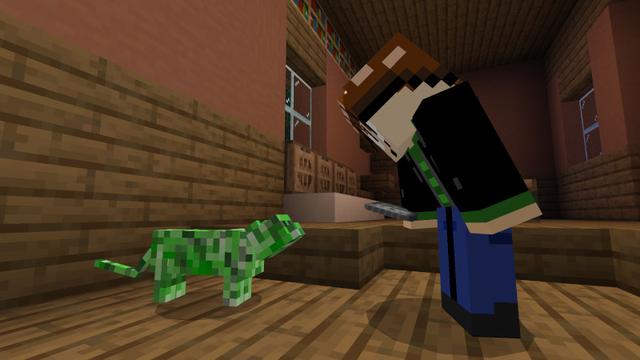 Screenshot of the Minecraft Bedrock Marketplace product Find The Cats created by Lifeboat.