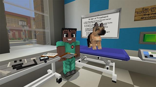 Screenshot of the Minecraft Bedrock Marketplace product Life as a Vet created by Lifeboat.