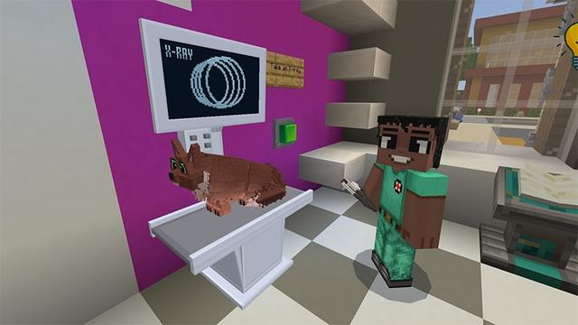 Screenshot of the Minecraft Bedrock Marketplace product Life as a Vet created by Lifeboat.