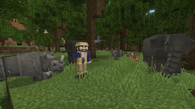 Screenshot of the Minecraft Bedrock Marketplace product Life in India created by Lifeboat.