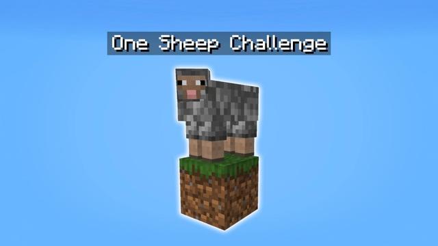 Thumbnail of the Minecraft Bedrock Marketplace product One Sheep Challenge created by Lifeboat.