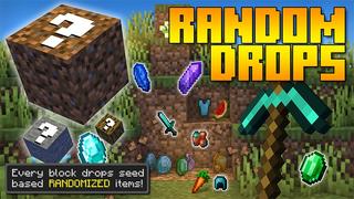 Thumbnail of the Minecraft Bedrock Marketplace product Random Drops created by Lifeboat.