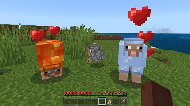 Screenshot of the Minecraft Bedrock Marketplace product Sheep+ created by Lifeboat.