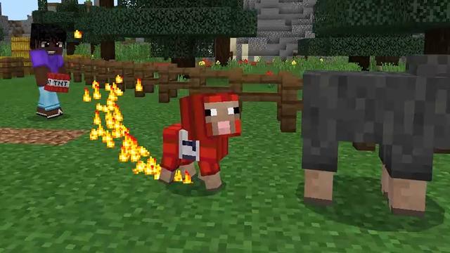 Screenshot of the Minecraft Bedrock Marketplace product Sheep+ created by Lifeboat.
