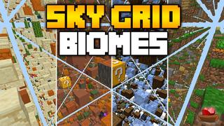 Thumbnail of the Minecraft Bedrock Marketplace product Sky Grid Biome created by Lifeboat.