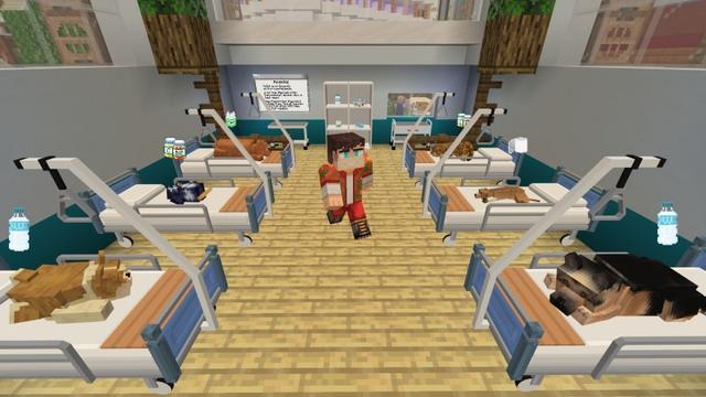 Screenshot of the Minecraft Bedrock Marketplace product Vet Roleplay created by Lifeboat.