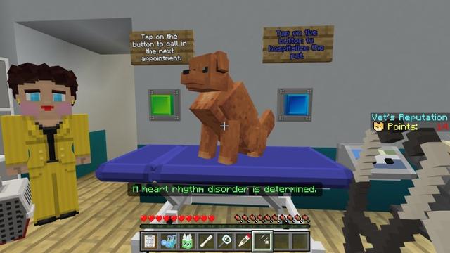 Screenshot of the Minecraft Bedrock Marketplace product Vet Roleplay created by Lifeboat.