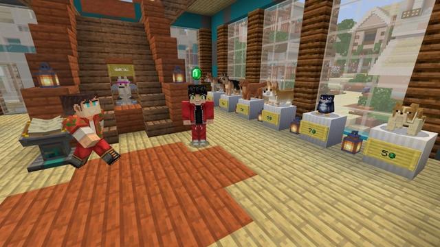 Screenshot of the Minecraft Bedrock Marketplace product Vet Roleplay created by Lifeboat.